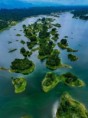 /album/fotogaleria-panama/panama-124-jpg1/